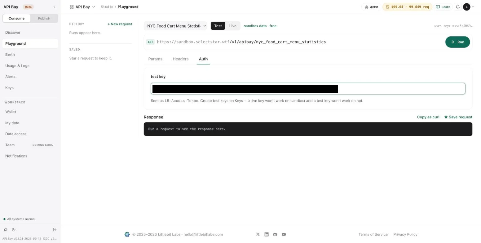 The Auth tab with a test key pasted in.