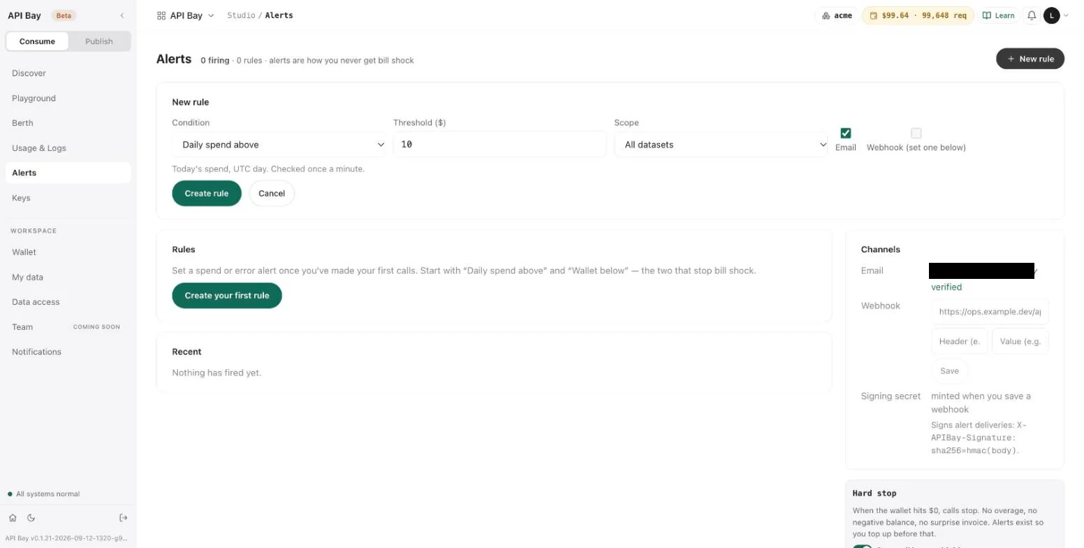 The New rule form with its defaults: a daily spend of $10 across all datasets, by email.