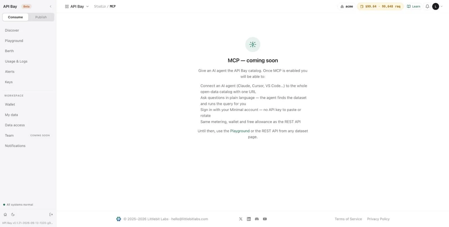 The MCP page says it is coming soon and points to the Playground and the REST API.